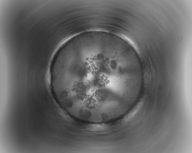 X0000096671125200802121145