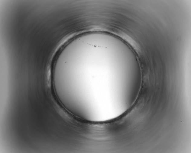 X0000096671126200802121145