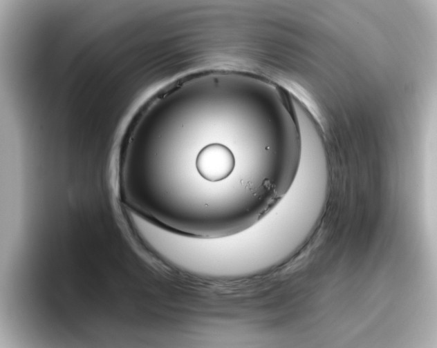 X0000096671128200802121145