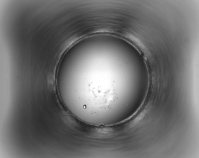 X0000096671129200802121145