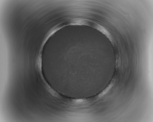 X0000096671130200802121145