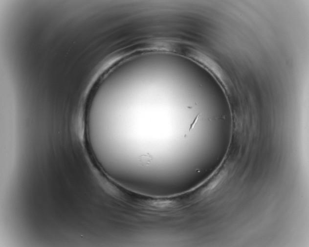 X0000096671131200802121145