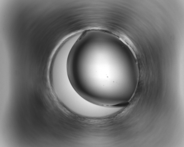 X0000096671132200802121145