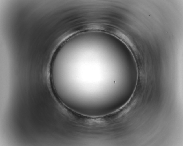 X0000096671133200802121145