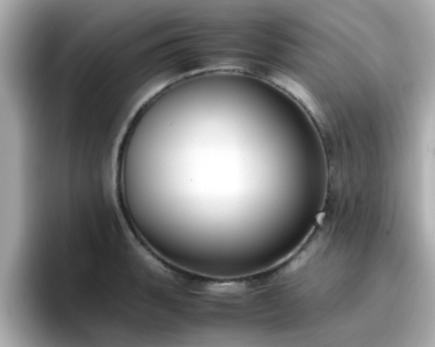 X0000096671135200802121145