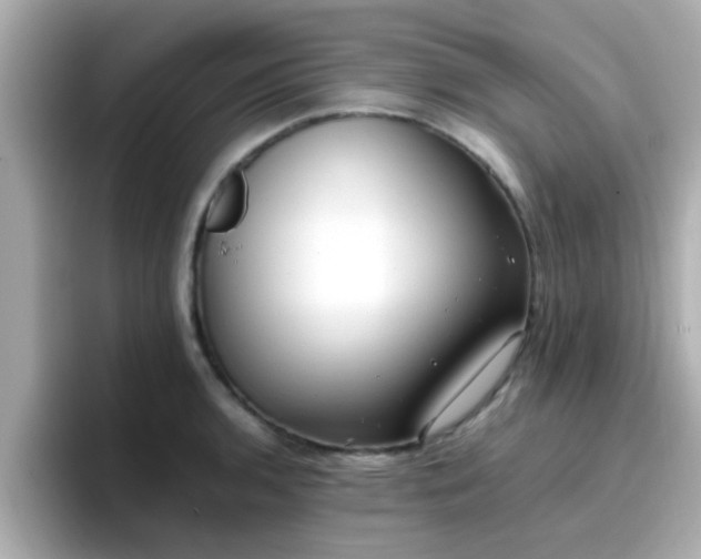 X0000096671136200802121145