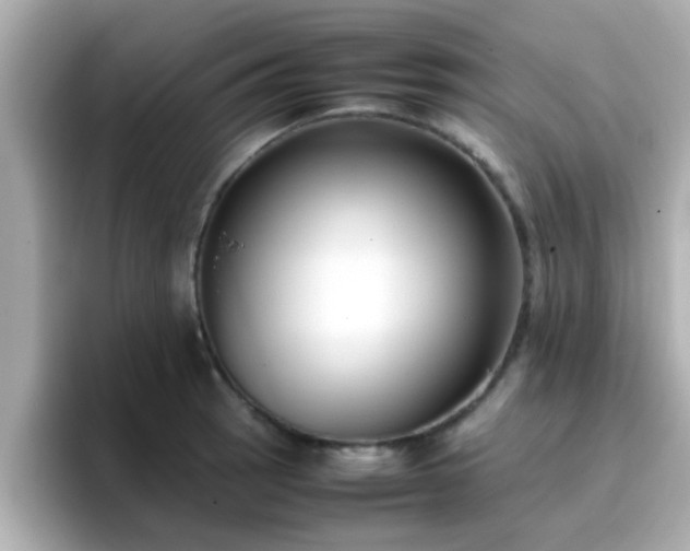 X0000096671137200802121146