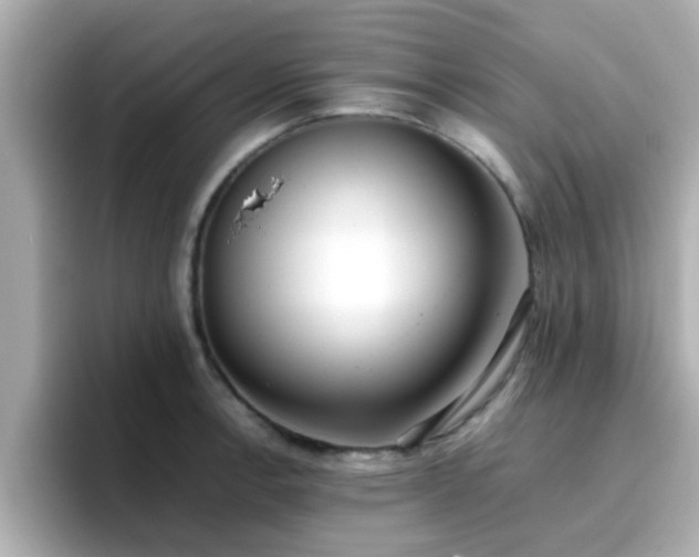 X0000096671138200802121146