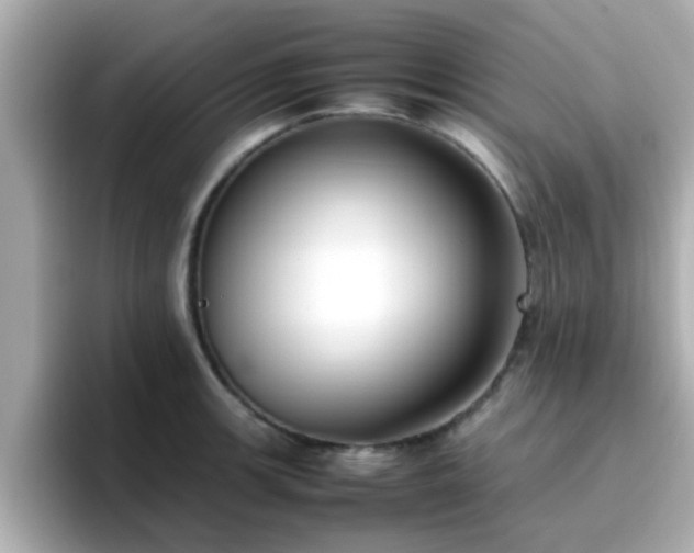 X0000096671139200802121146