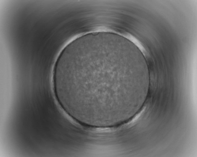 X0000096671142200802121146