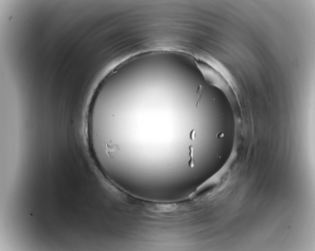 X0000096671144200802121146