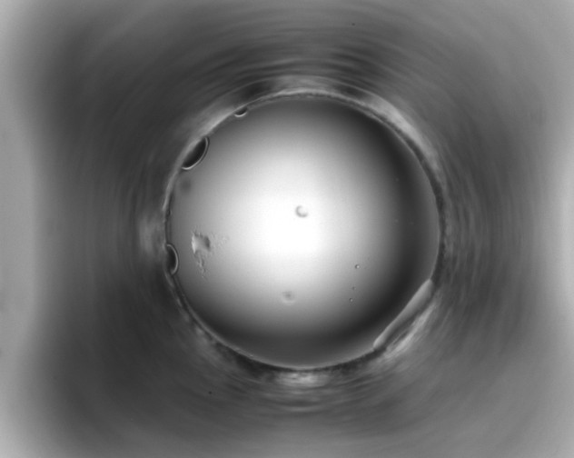 X0000096671145200802121146