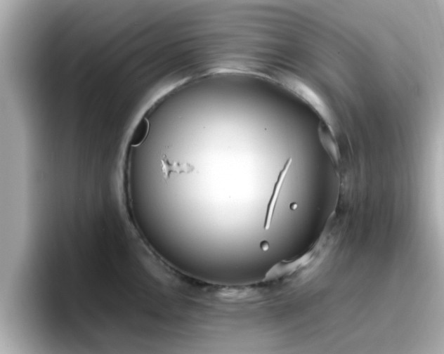 X0000096671146200802121146