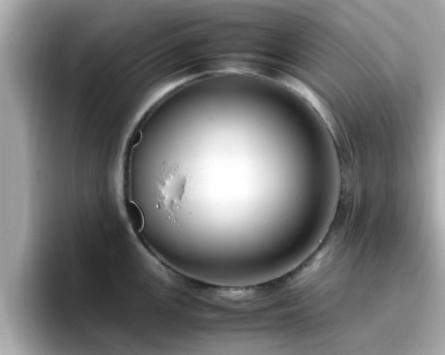 X0000096671147200802121146
