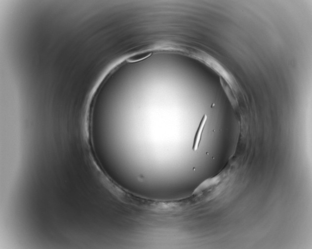 X0000096671148200802121146
