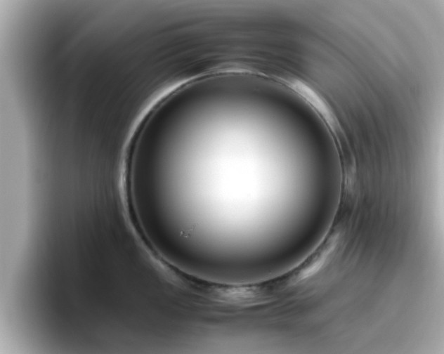 X0000096671149200802121146