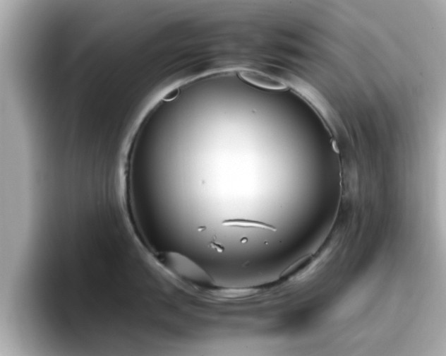 X0000096671151200802121146