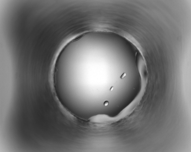 X0000096671152200802121146