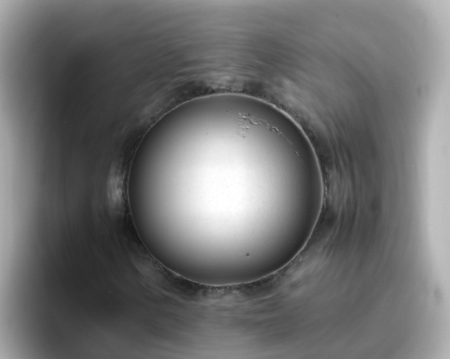 X0000096671154200802121145