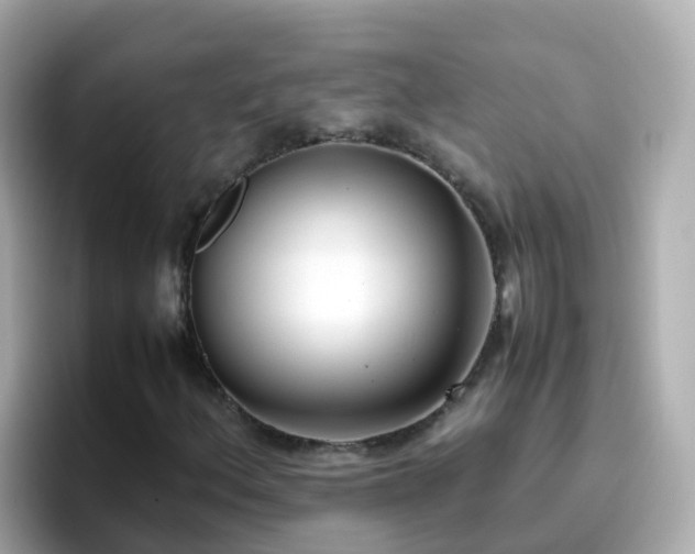 X0000096671156200802121145