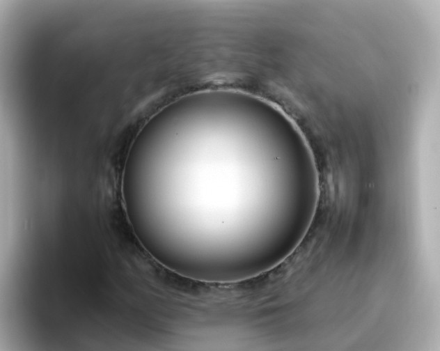 X0000096671158200802121145