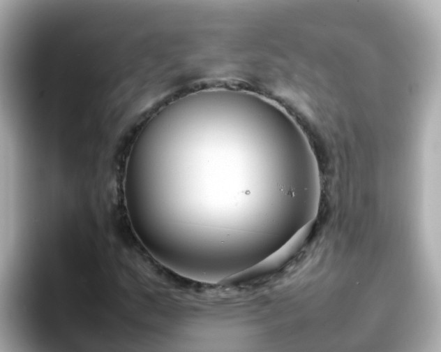 X0000096671159200802121145