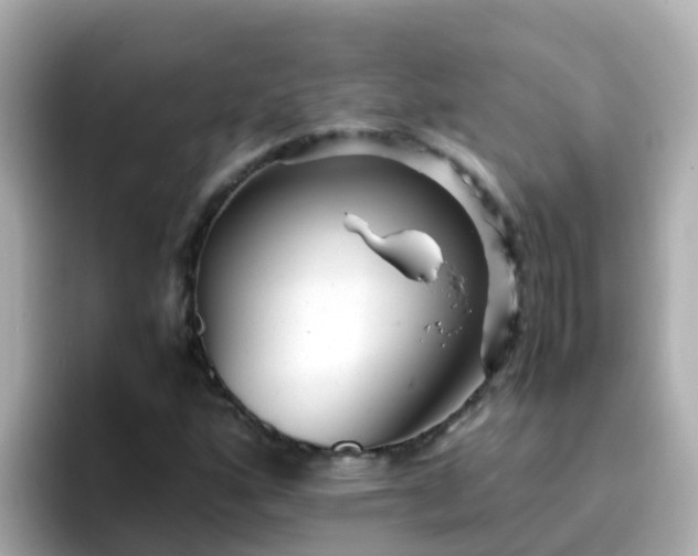X0000096671160200802121145