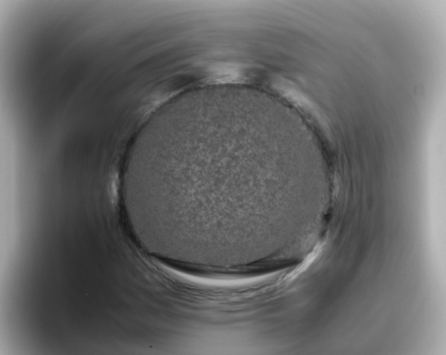 X0000096671161200802121145