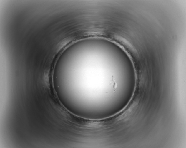 X0000096671162200802121145