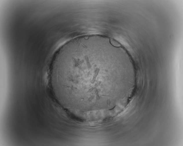 X0000096671163200802121145
