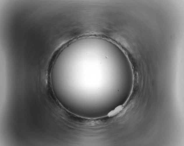 X0000096671165200802121145