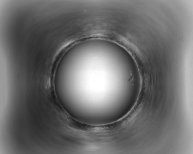 X0000096671166200802121145