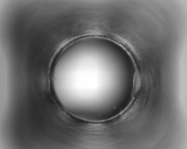 X0000096671168200802121145
