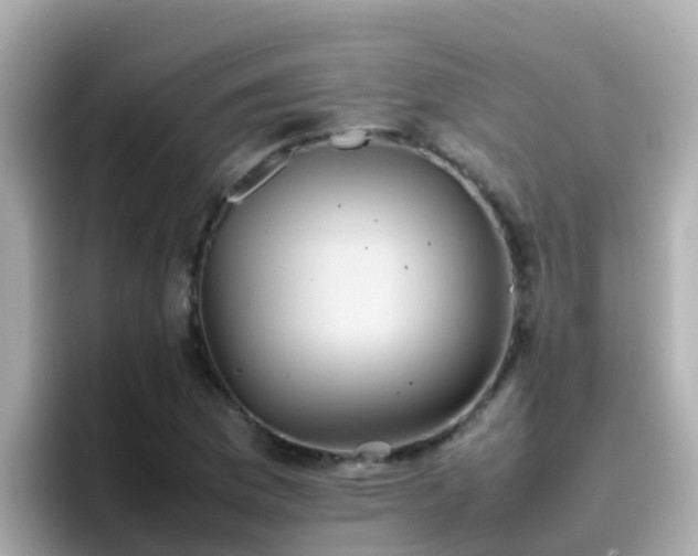 X0000096671169200802121145