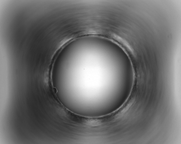X0000096671170200802121145