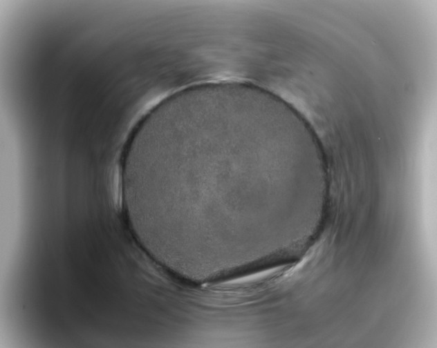 X0000096671171200802121145