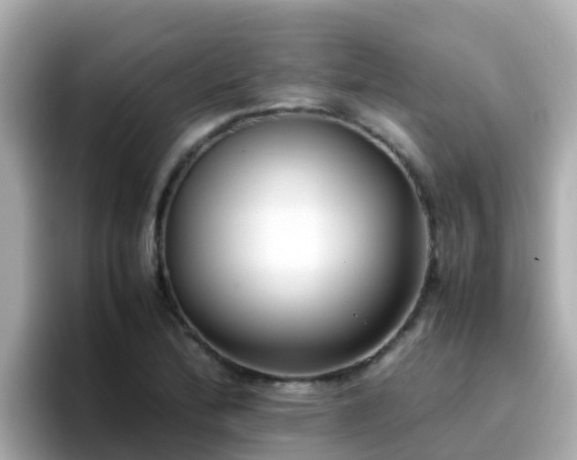 X0000096671172200802121145