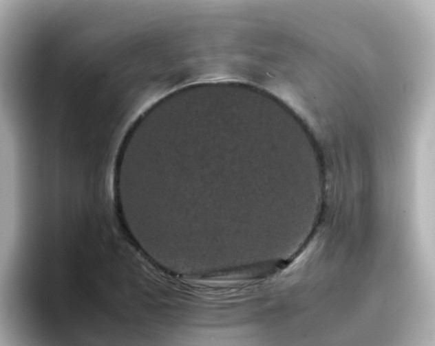 X0000096671173200802121145
