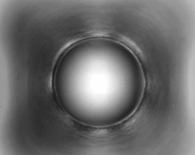 X0000096671174200802121145