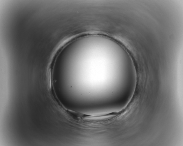 X0000096671175200802121145