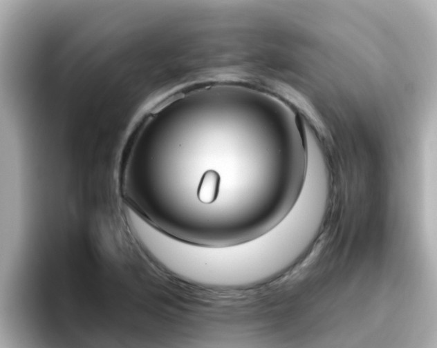 X0000096671176200802121145