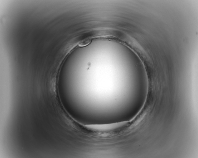 X0000096671177200802121145