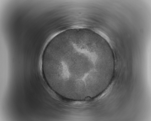X0000096671179200802121145
