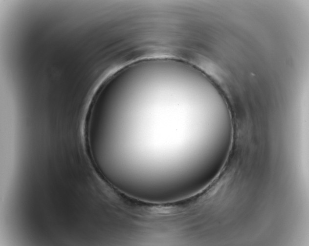 X0000096671181200802121145