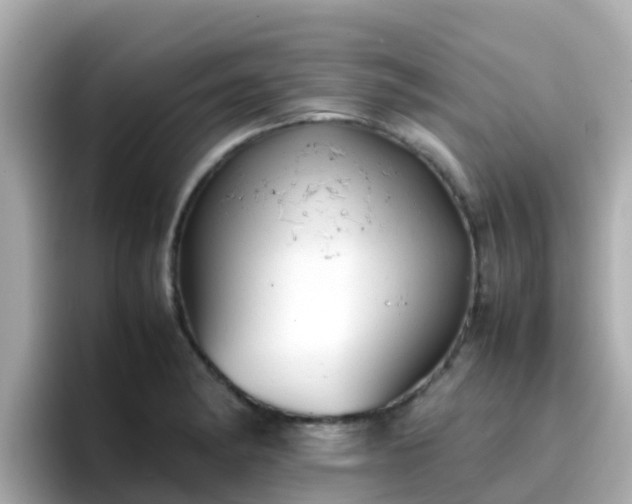 X0000096671182200802121145