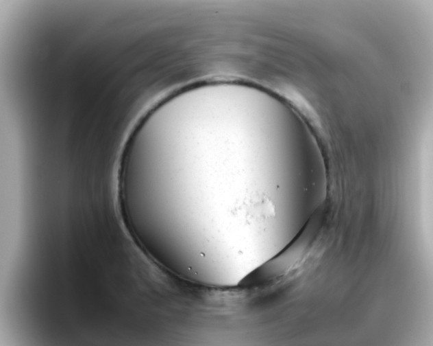 X0000096671183200802121145