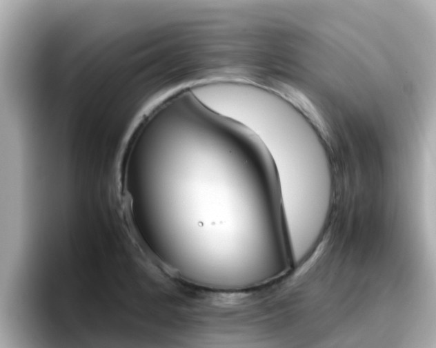 X0000096671184200802121145