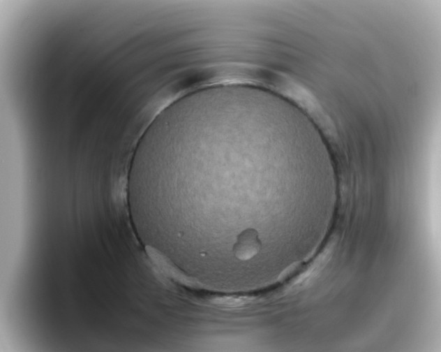 X0000096671185200802121145