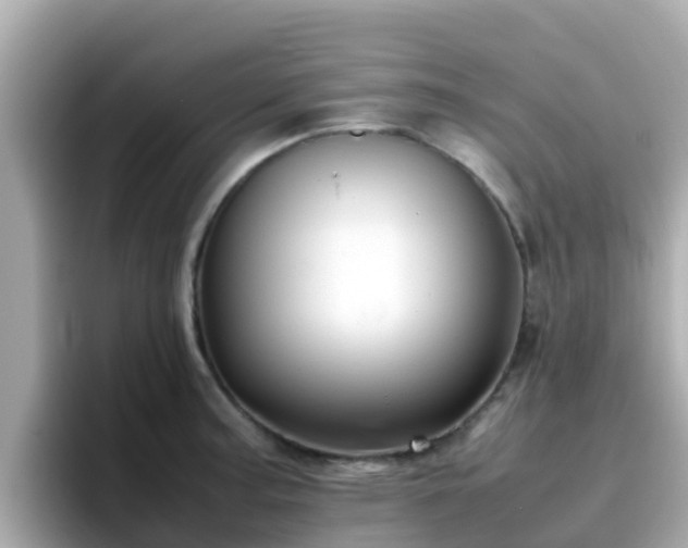 X0000096671187200802121145
