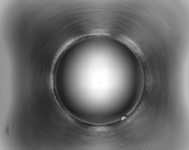 X0000096671188200802121145